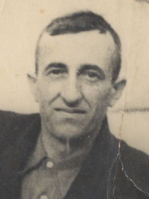 Володимир Іванович Гречинський